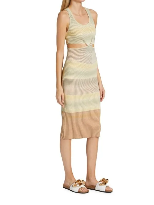 colleen Jonathan Simkhai Cobalt space dye midi dress